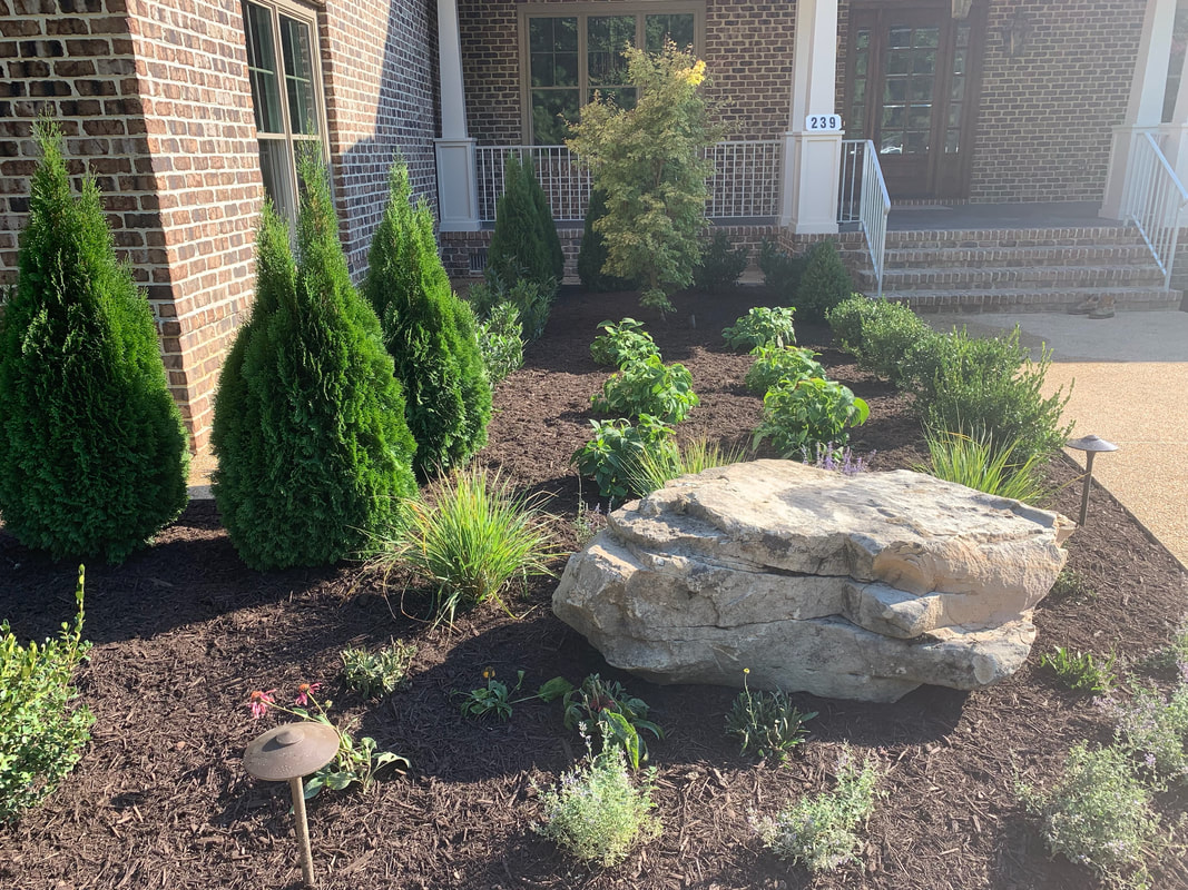 Backyard Arborvitae Landscaping Ideas Transform Your Outdoor Space