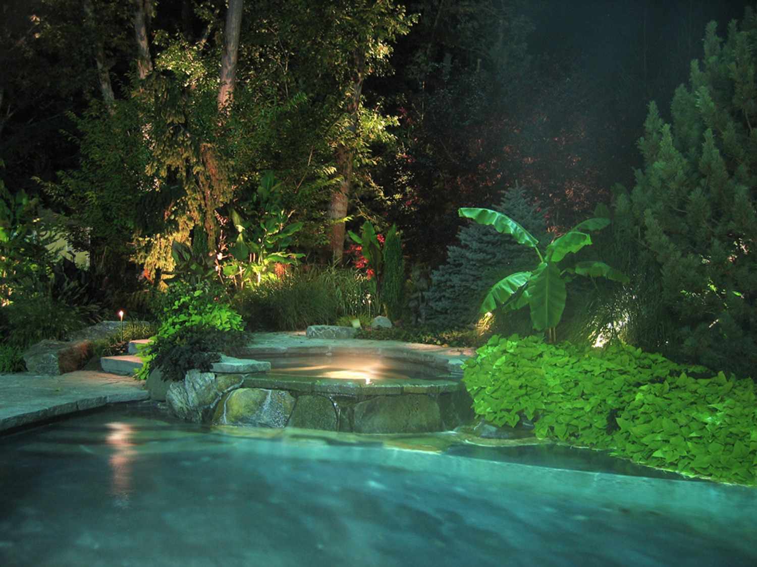 Backyard Tropical Pool Landscaping Transforming Your Outdoor Space into a Paradise