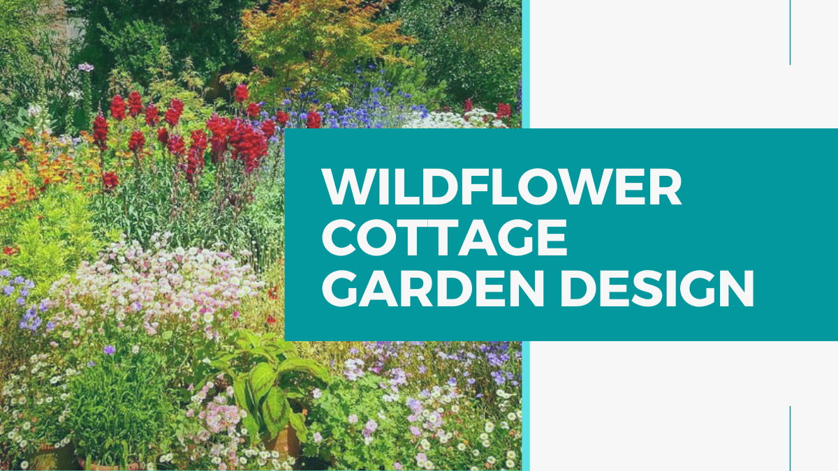 Backyard Wildflower Garden Design Enhancing Your Outdoor Space with Colorful Blooms