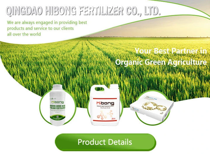 Best Fertilizer for Hydroponics The Key to Successful Harvests