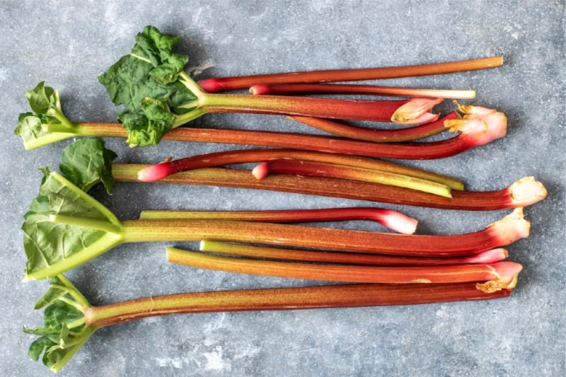 The Best Companion Plants for Rhubarb Enhancing Growth and Flavor