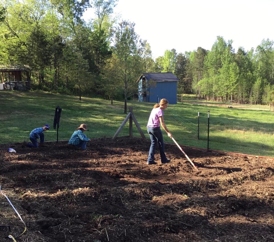 Corn Square Foot Gardening: Maximizing Your Yield in Minimal Space