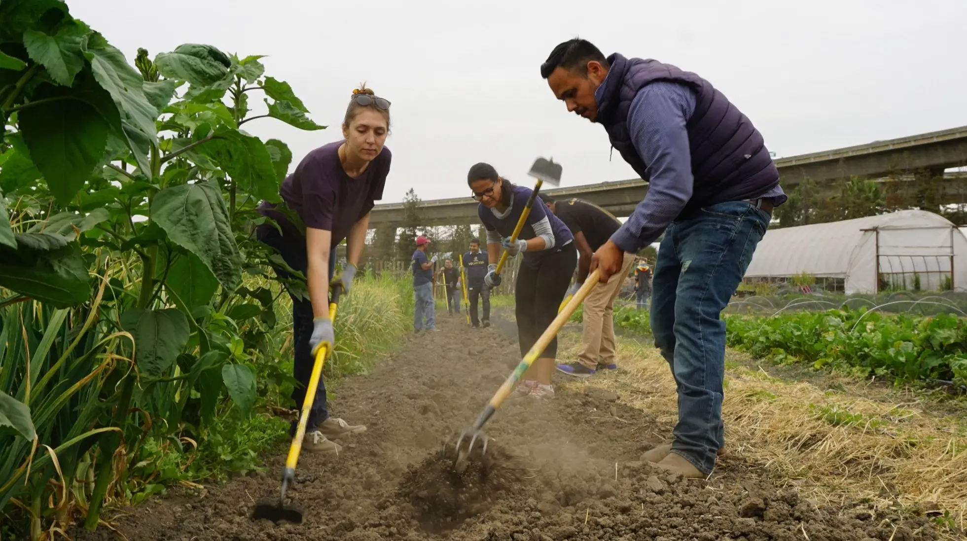 Eastside Urban Farm and Garden Cultivating Community in the Heart of the City