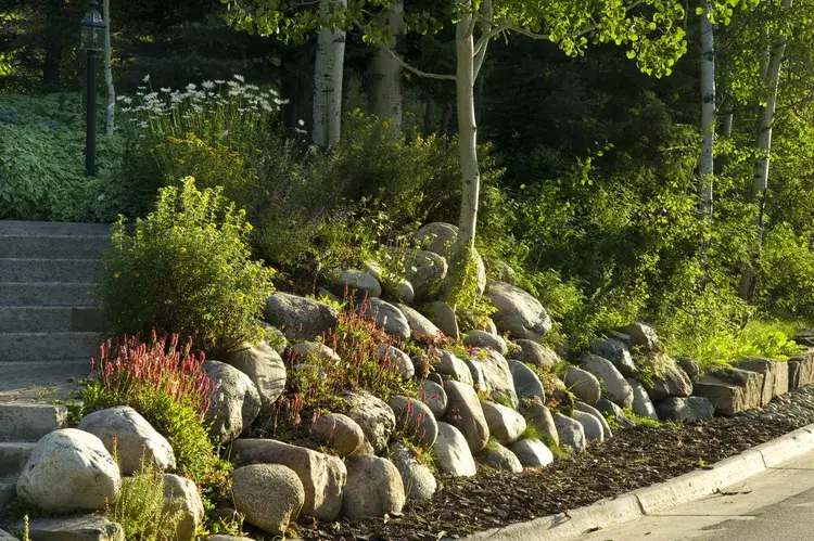 Front Yard Rock Landscaping Ideas Creating a Beautiful and Low-Maintenance Outdoor Space