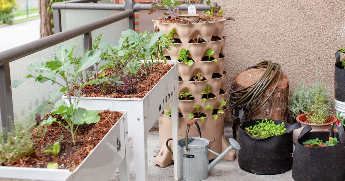 Fully Enclosed Vegetable Garden The Ultimate Solution for Growing Your Own Fresh Produce