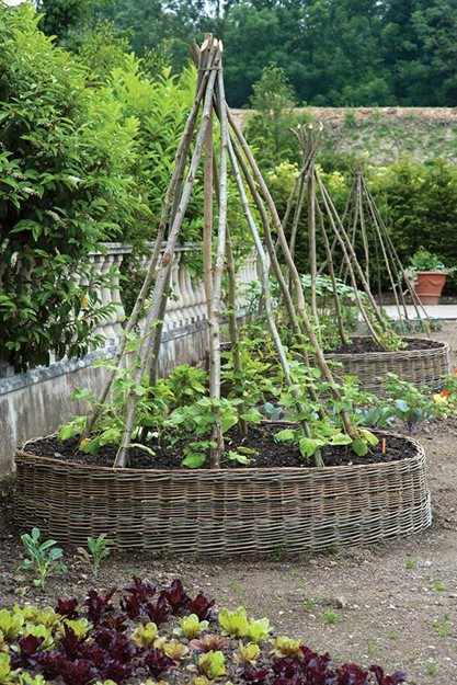 Fully Enclosed Vegetable Garden The Ultimate Solution for Growing Your Own Fresh Produce