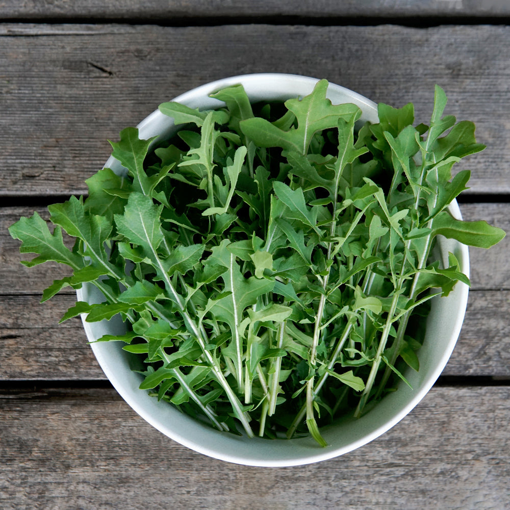 Growing Arugula in Pots A Comprehensive Guide