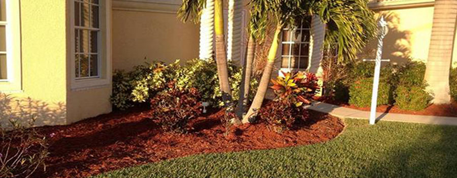 Landscaping Ideas with Red Mulch Enhance Your Outdoor Space