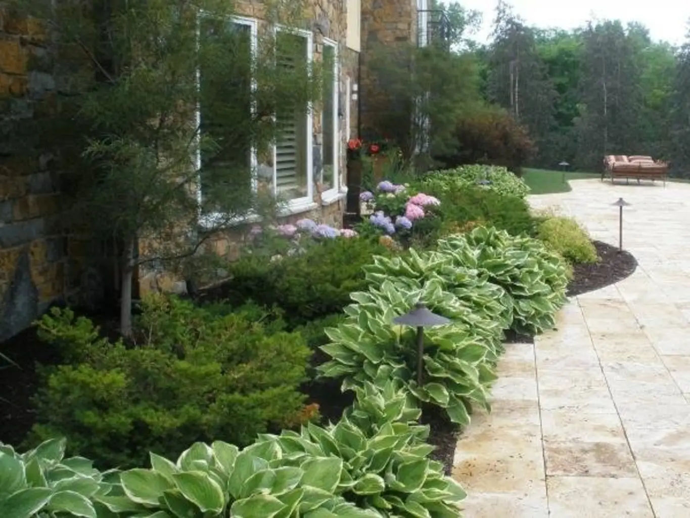 Landscaping with Hydrangeas and Hostas A Beautiful Combination