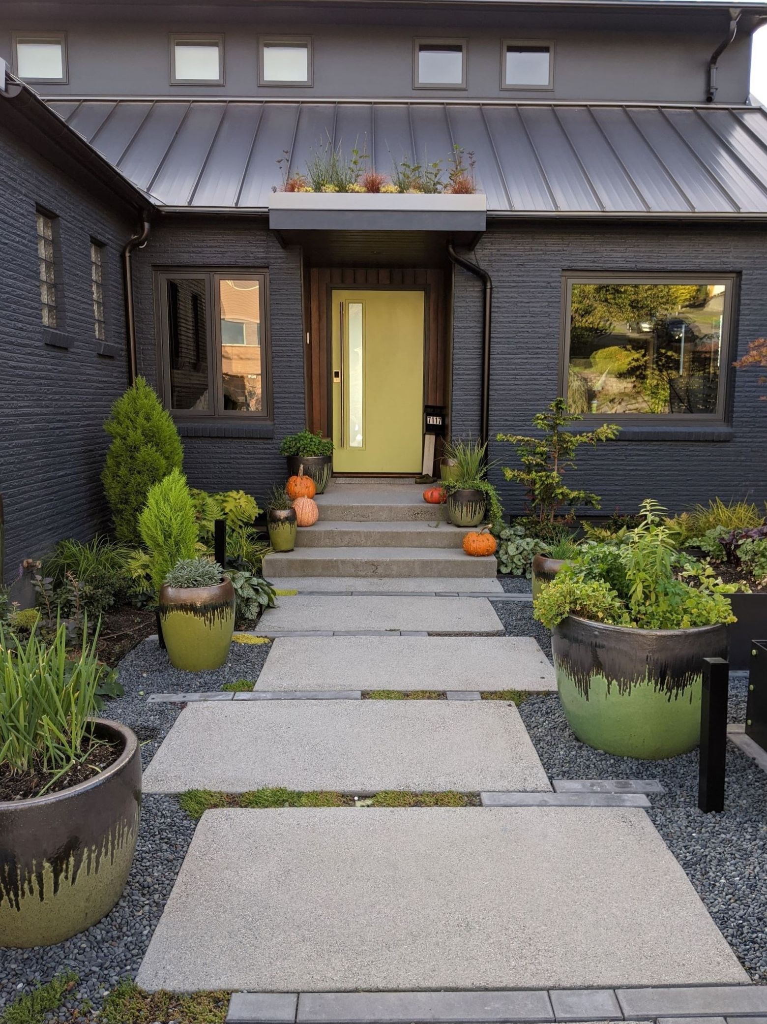 Low Maintenance Parking Strip Landscaping Create a Beautiful and Sustainable Space