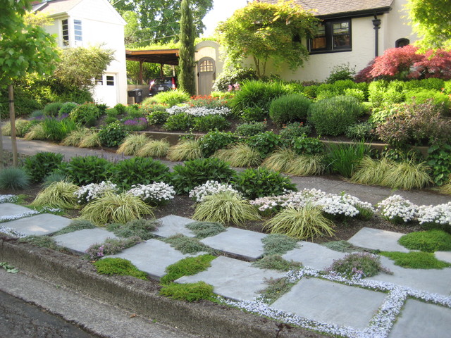 Low Maintenance Parking Strip Landscaping Create a Beautiful and Sustainable Space