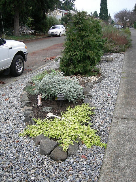 Low Maintenance Parking Strip Landscaping Create a Beautiful and Sustainable Space