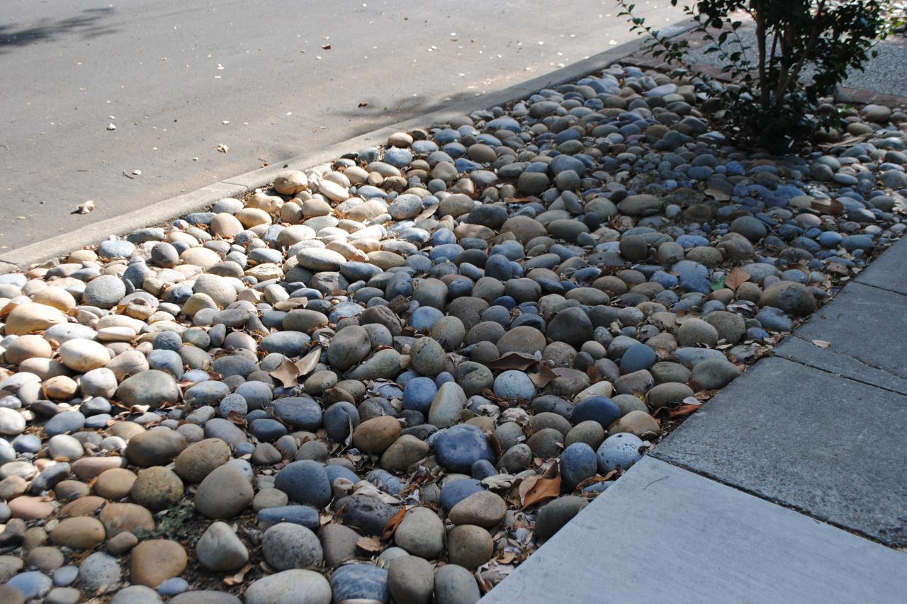 Low Maintenance Parking Strip Landscaping Create a Beautiful and Sustainable Space