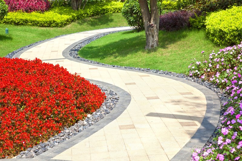 Low Maintenance Parking Strip Landscaping Create a Beautiful and Sustainable Space