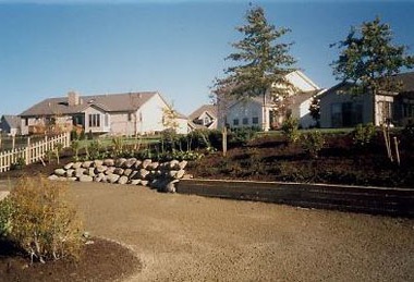 Mound Septic System Landscaping Creating a Beautiful and Functional Yard