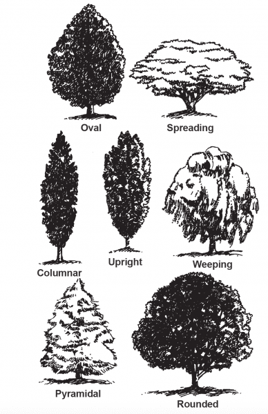 Other Words for Landscaping A Guide to Understanding Different Terminologies