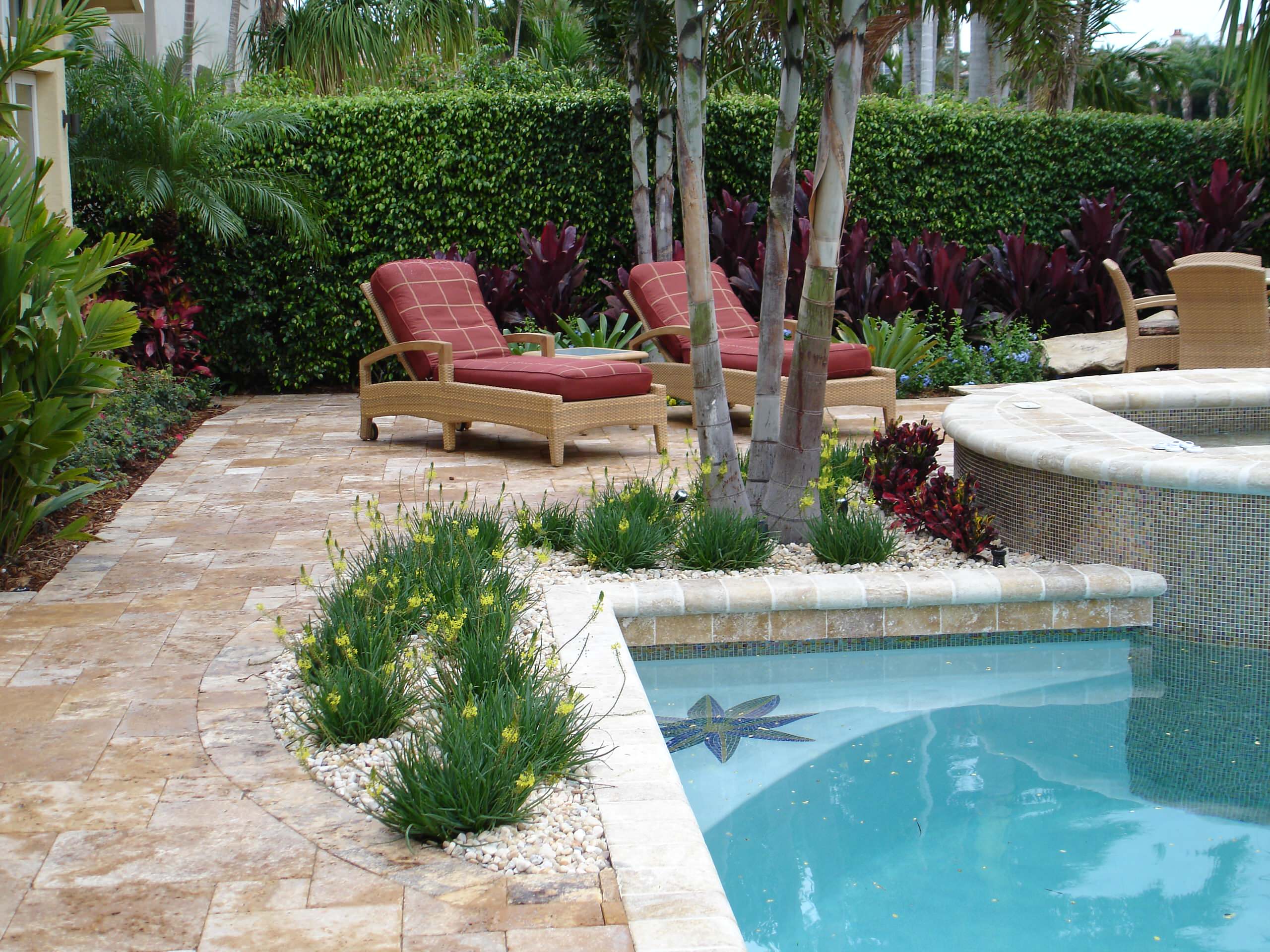 Pool Landscaping Ideas Texas Creating Your Dream Backyard Oasis