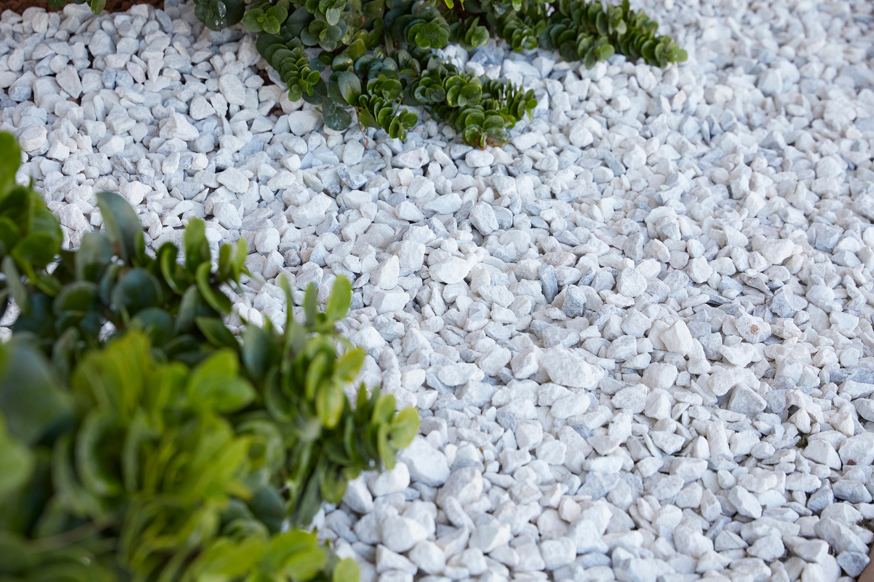 White Marble Rocks for Landscaping A Stunning Addition to Your Outdoor Space