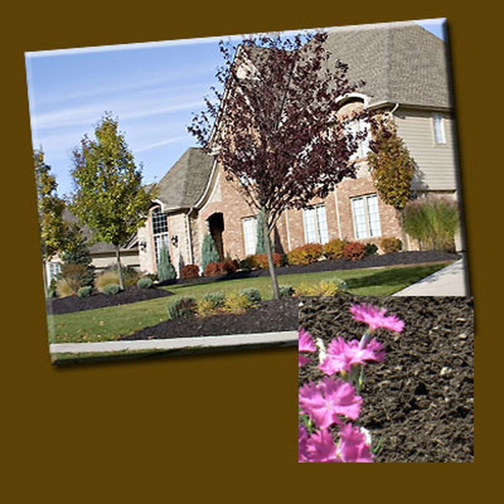 Corner Lot Landscaping Ideas Transforming Your Space Into a Beautiful Outdoor Haven