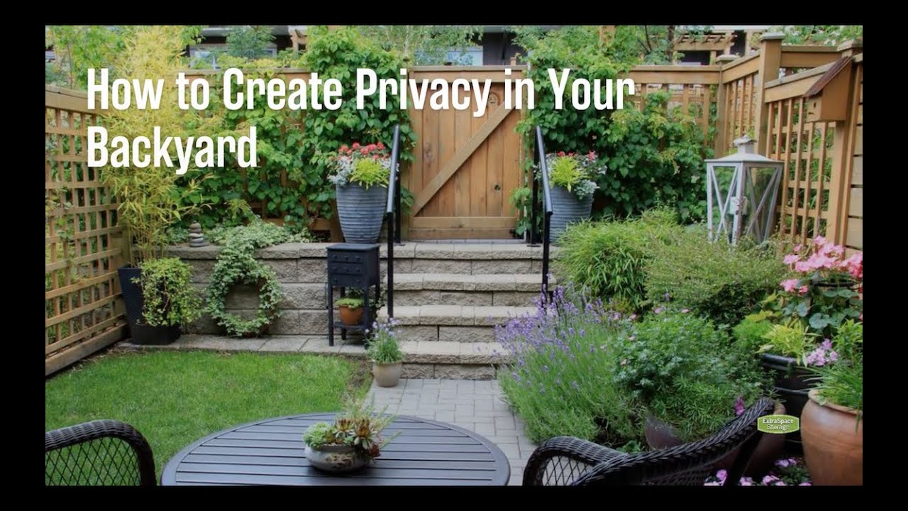 Transform Your Backyard with These Fence Line Landscaping Ideas