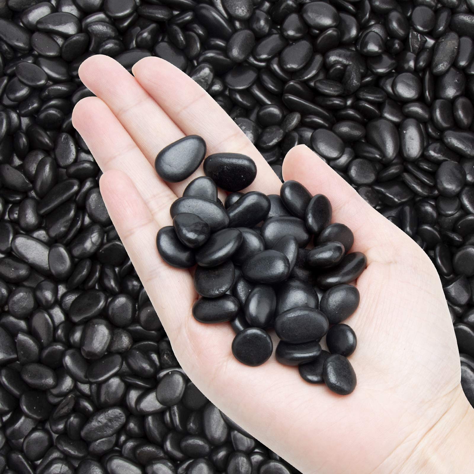 The Beauty of Black Pebbles for Landscaping