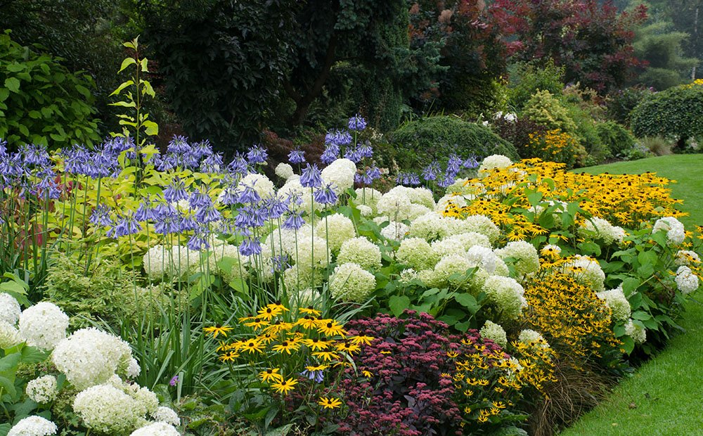 Landscaping with Hostas and Daylilies A Beautiful Combination