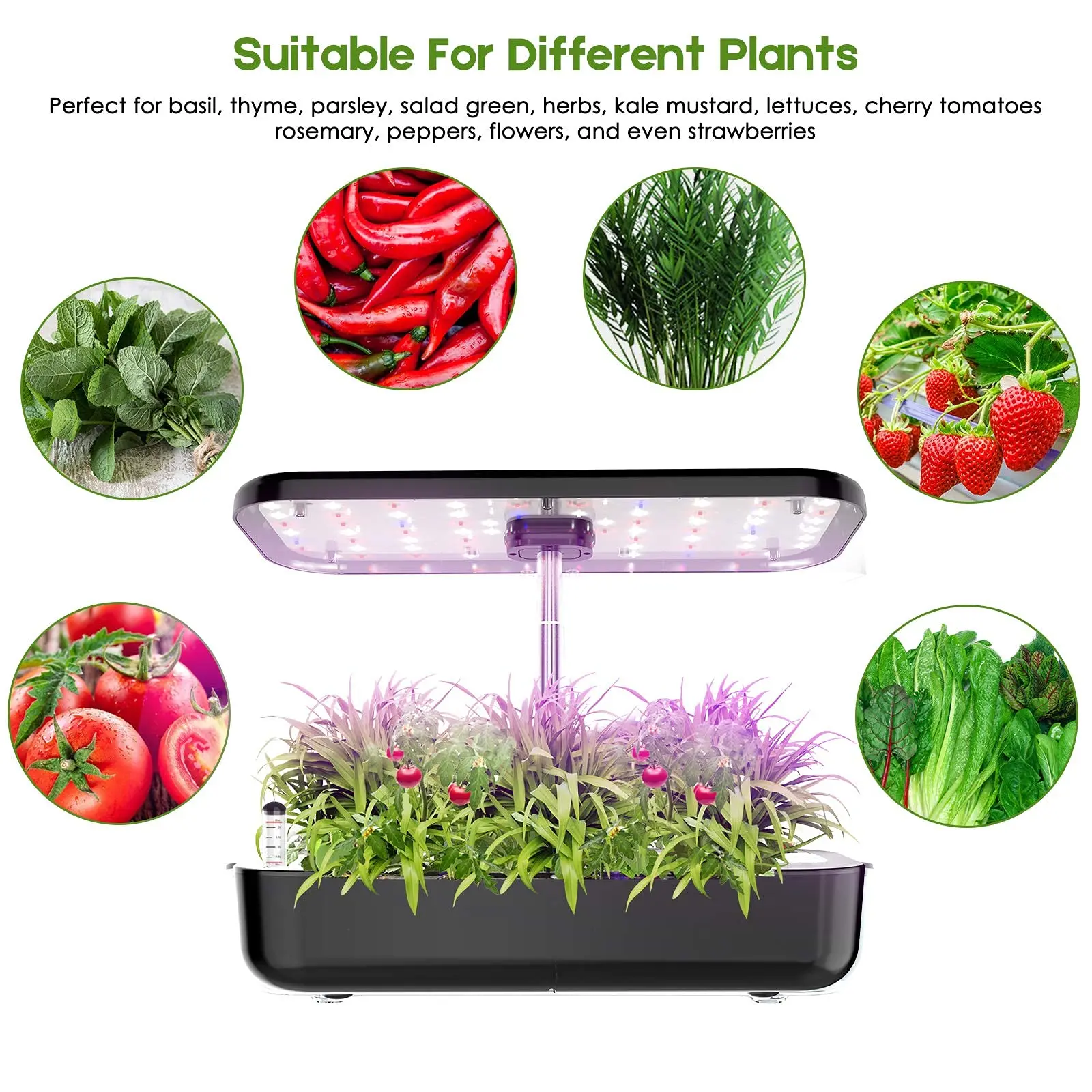 The Revolutionary Hydroponic Growing System idoo