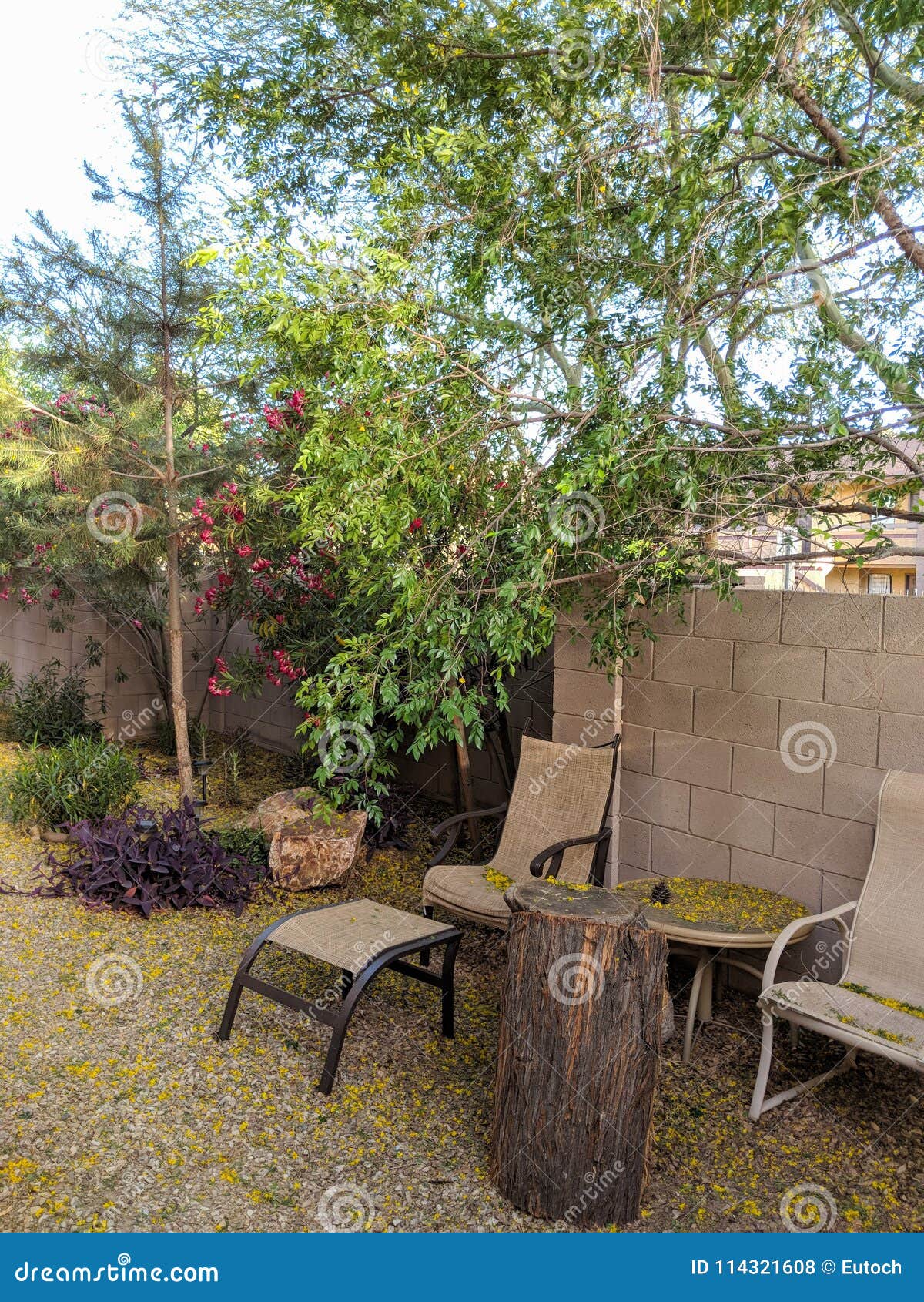 Backyard Landscaping Ideas for Arizona Transforming Your Outdoor Space