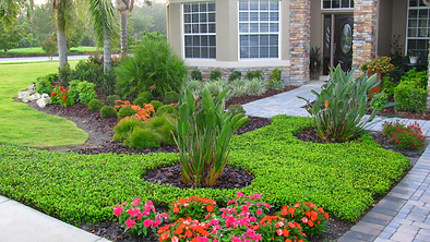 Low Maintenance Florida Landscaping Ideas