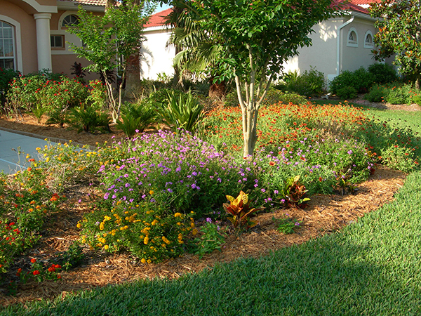 Low Maintenance Landscaping Ideas for a Beautiful Florida Yard