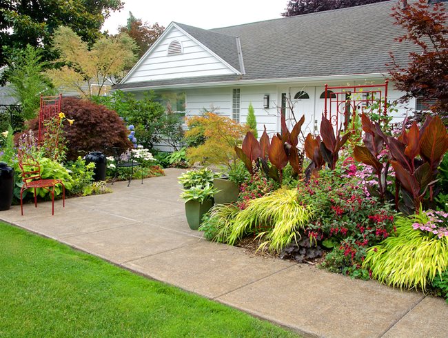 Front Yard Desert Landscaping Ideas on a Budget Create a Beautiful Oasis in Your Yard Without Breaking the Bank