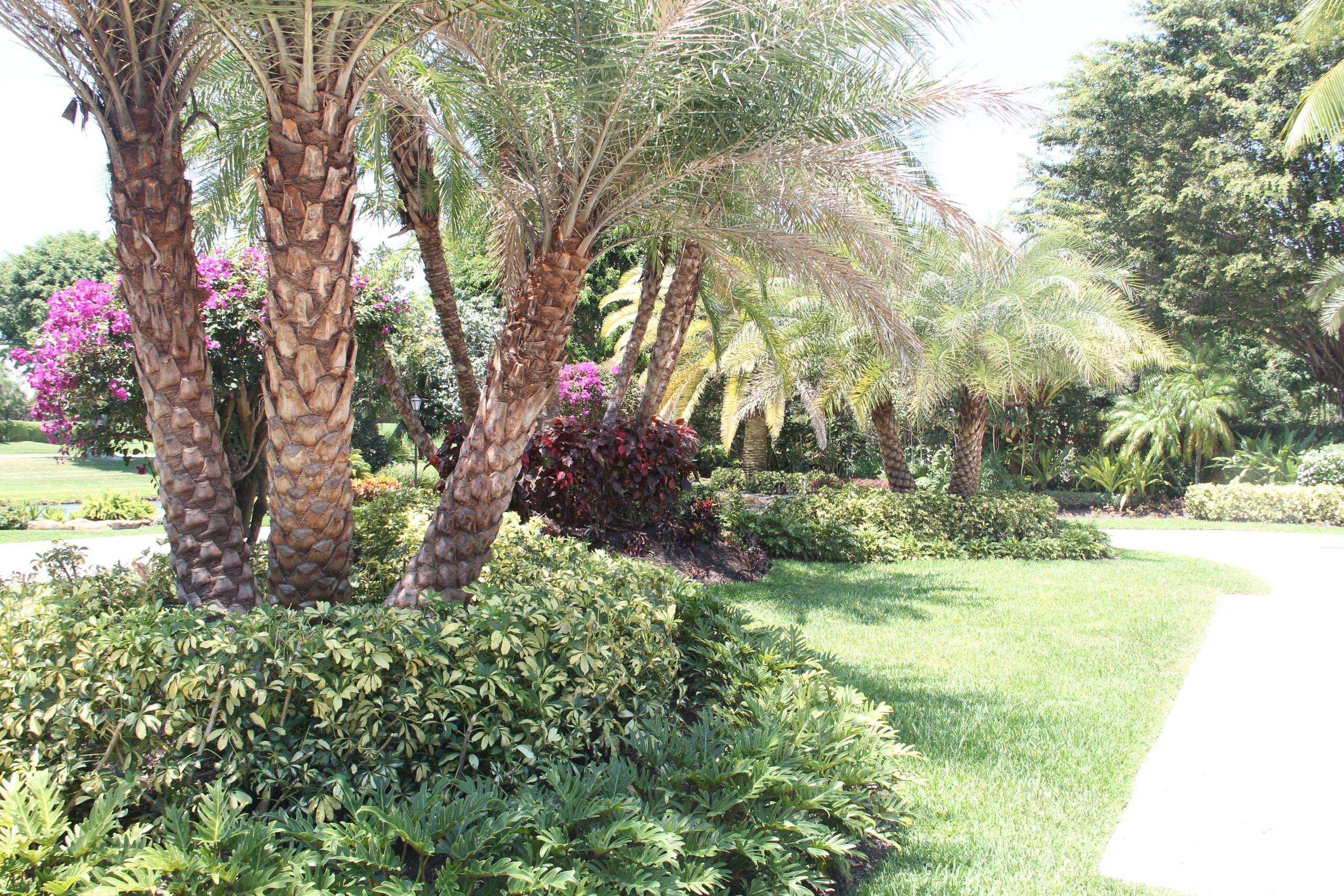 Low Maintenance Landscaping Ideas for a Beautiful Florida Yard