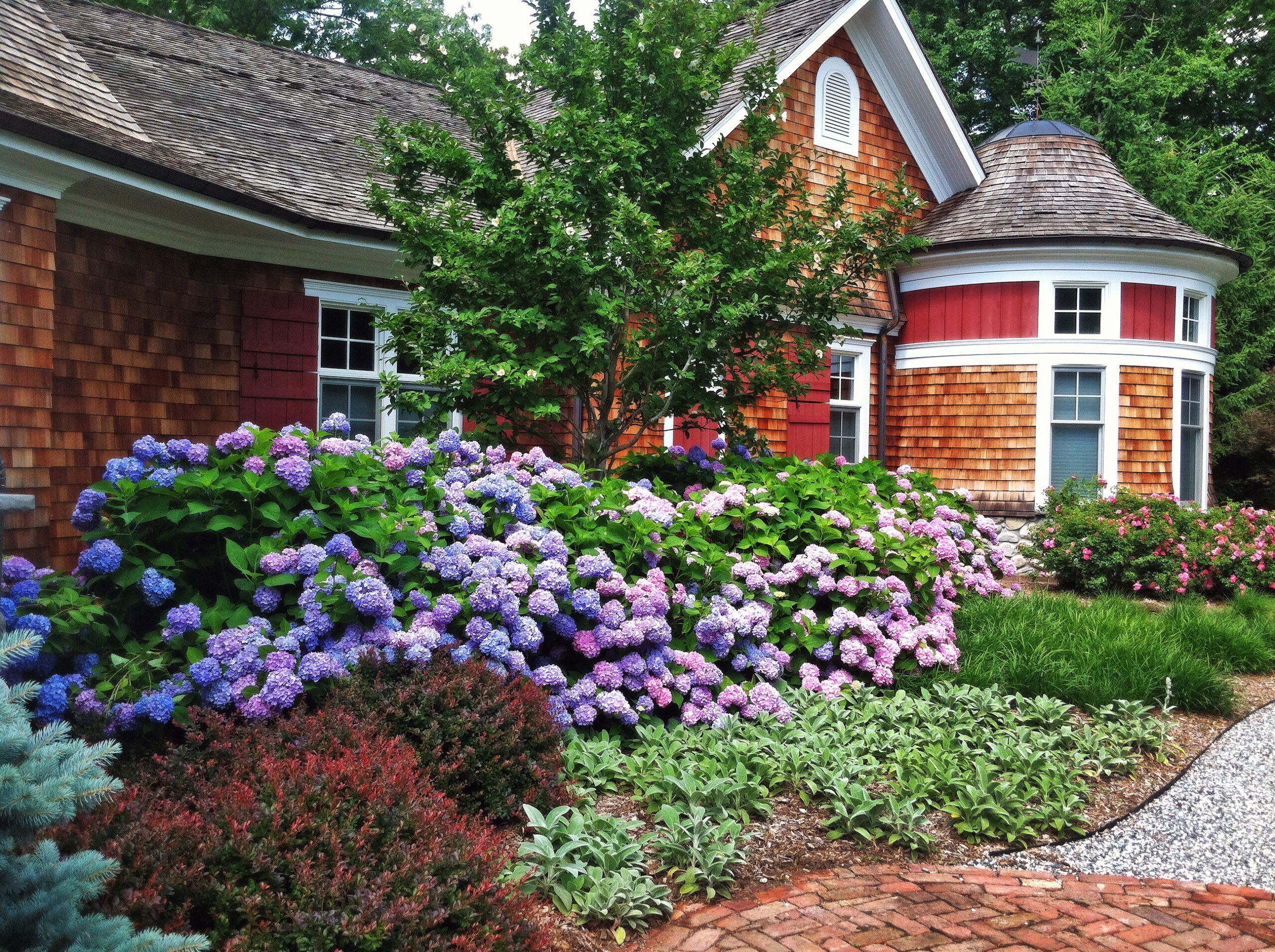 Low Maintenance Landscaping Ideas for a Beautiful Florida Yard