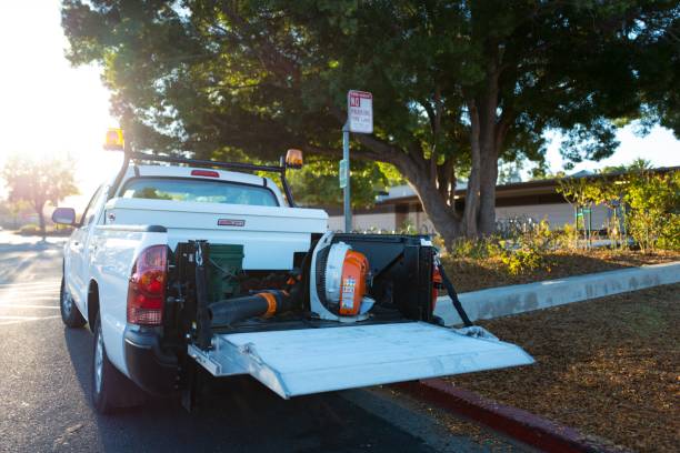 Landscaping Bed for Truck Transform Your Vehicle into a Mobile Garden