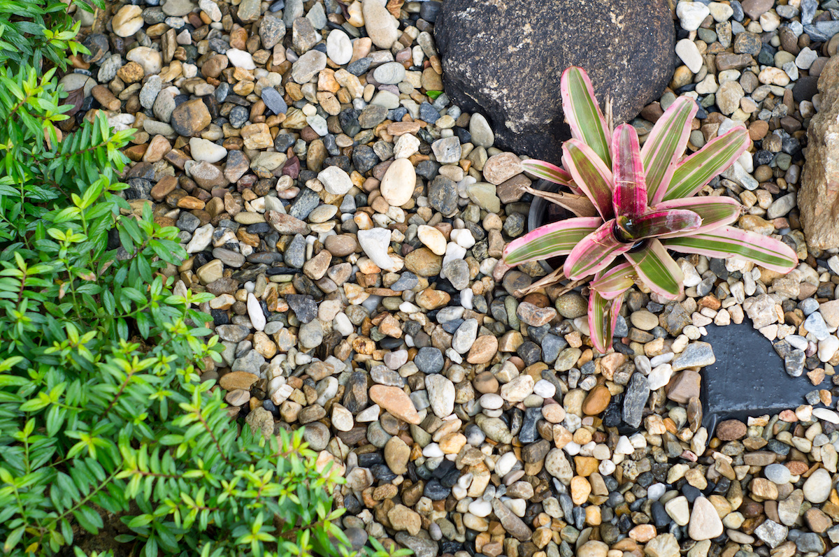 Rock and Mulch Landscaping Ideas Enhancing Your Outdoor Space