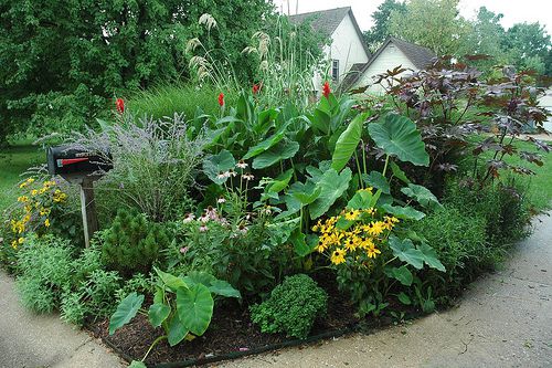 Mailbox Landscaping with Rocks Enhance Your Curb Appeal