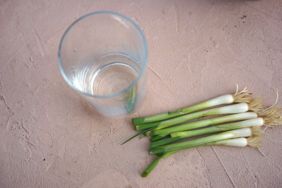 Onion Water for Plants A Natural Boost for Your Garden