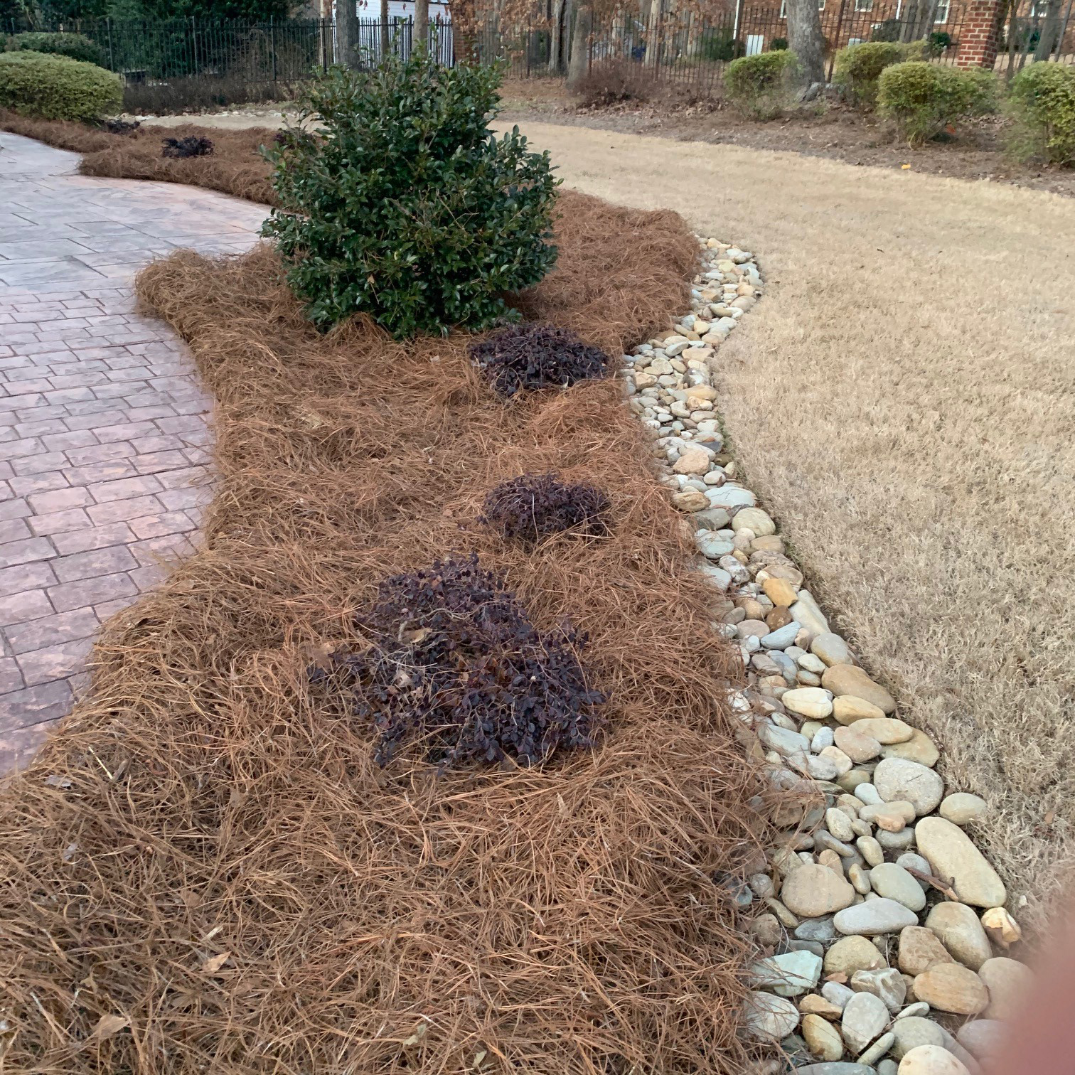 Pine Straw Landscaping Pictures Adding Beauty to Your Outdoor Space