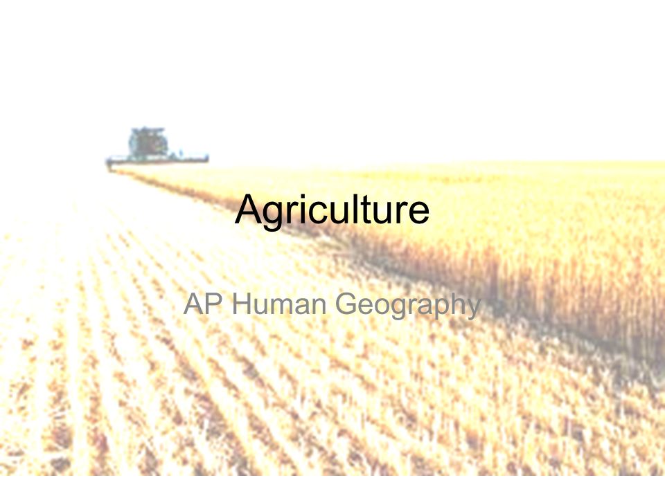 Market Gardening and its Impact on Human Geography A Comprehensive Overview