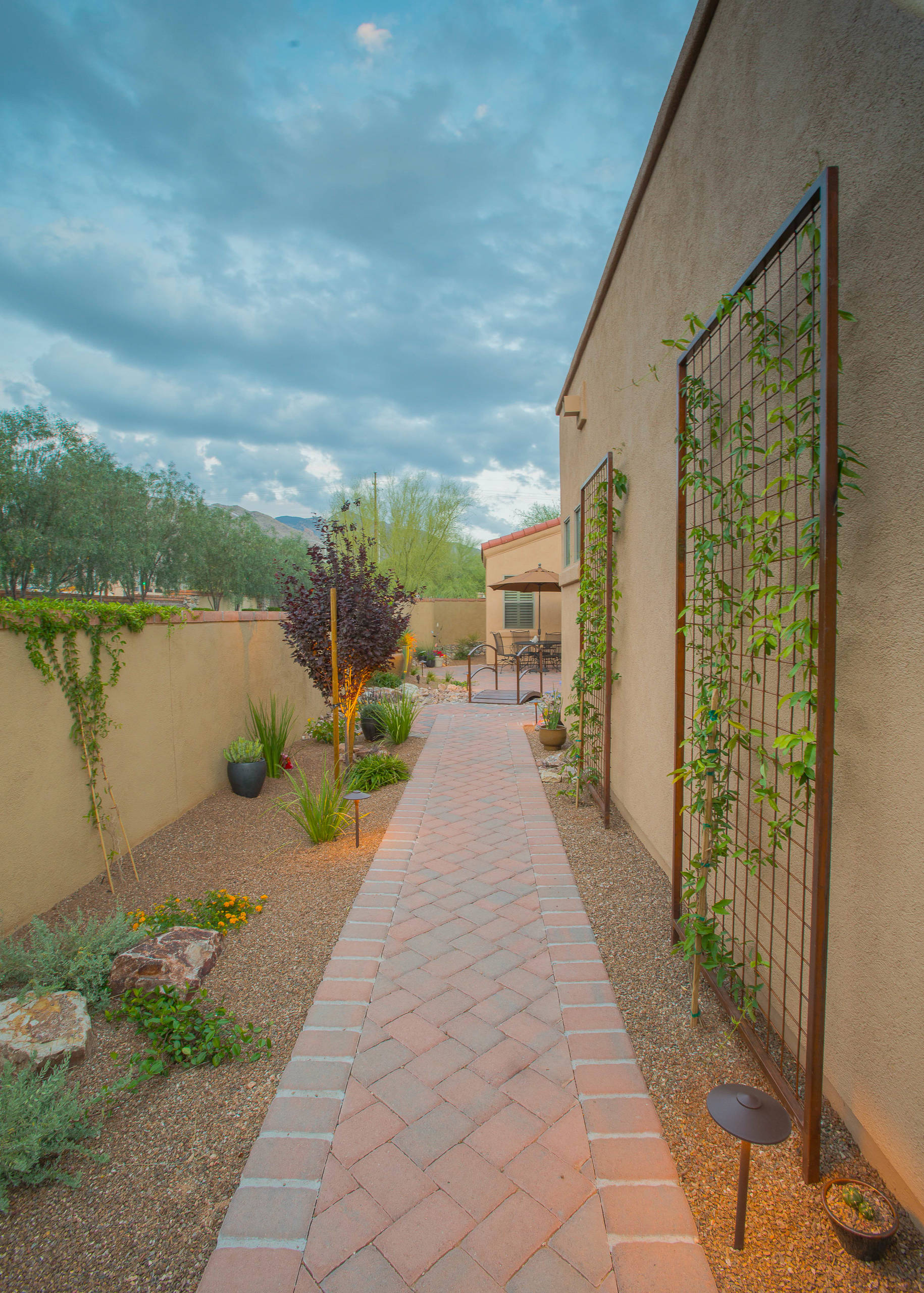 Inexpensive Desert Landscaping Ideas Transform Your Yard on a Budget