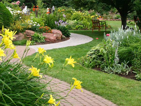 Backyard Landscaping Ideas for Arizona Transforming Your Outdoor Space